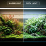 Aquarium Lighting for Planted Tanks: What Actually Matters (And What Doesn't)