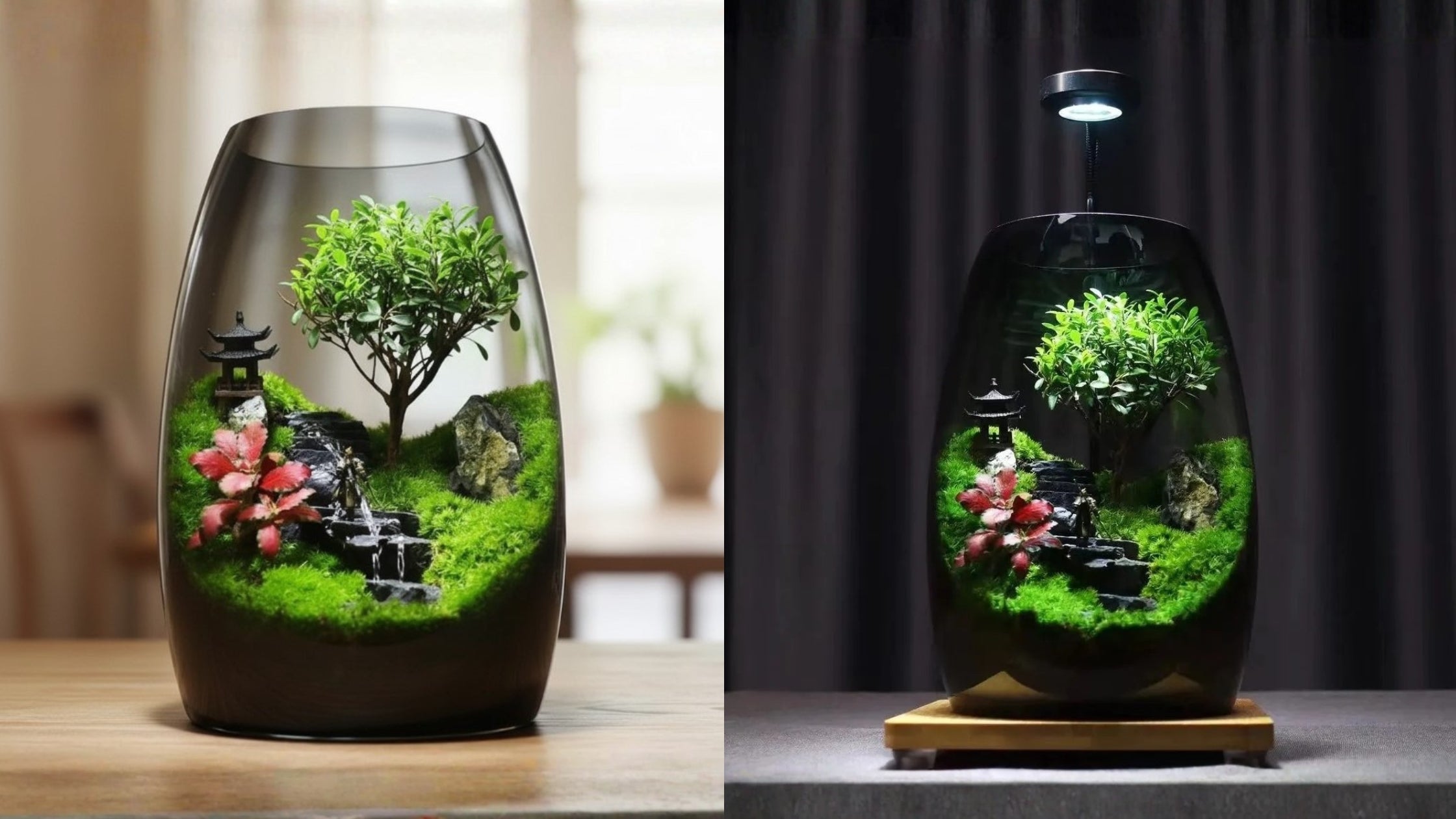 ZenFlow tabletop terrarium side-by-side comparison in natural daylight vs. LED grow light illumination.