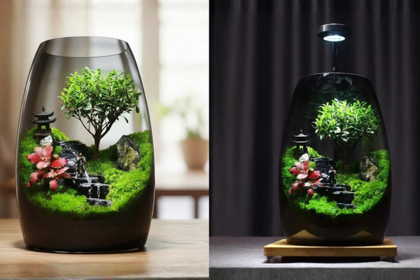 ZenFlow tabletop terrarium side-by-side comparison in natural daylight vs. LED grow light illumination.