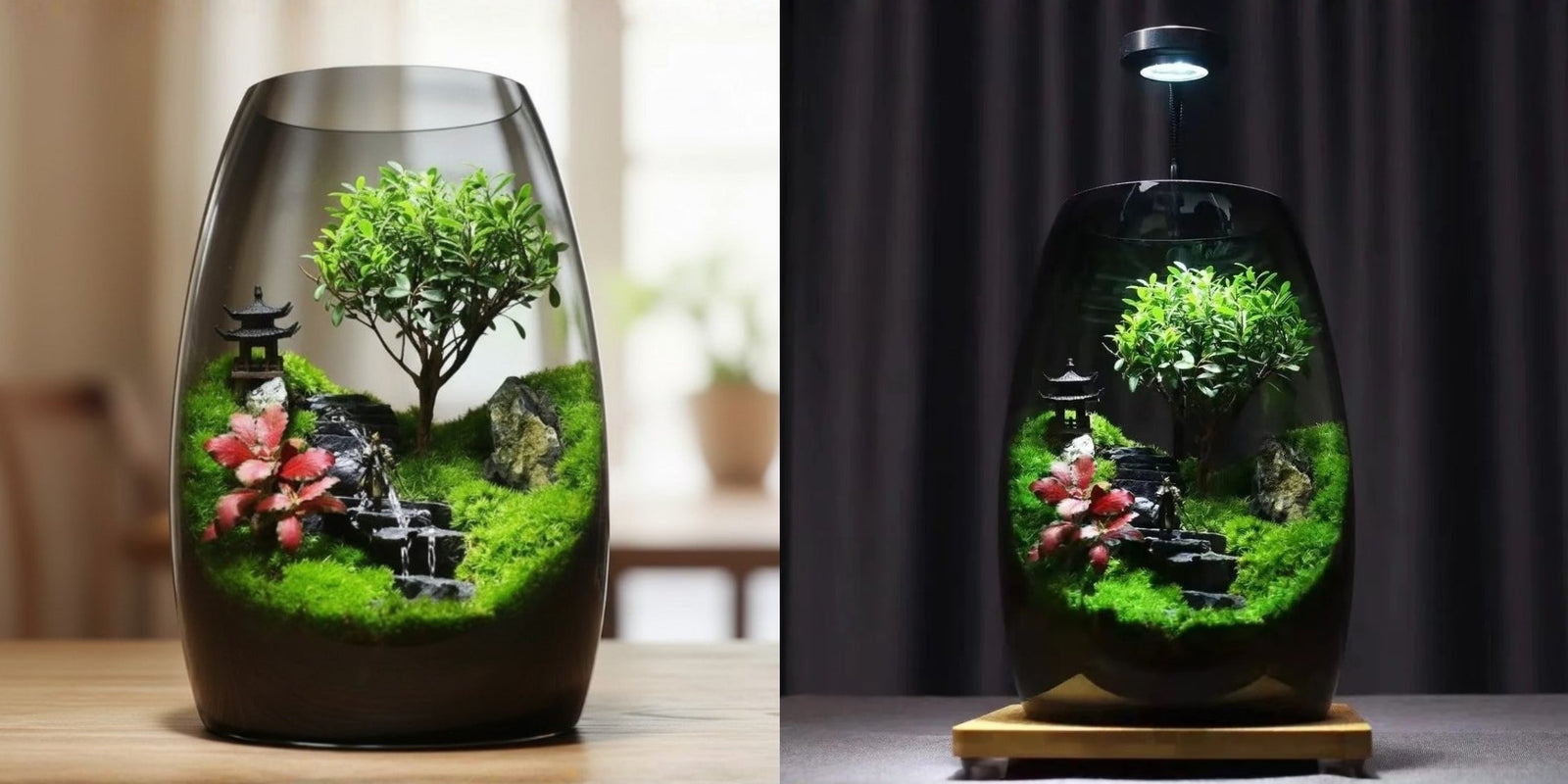 ZenFlow tabletop terrarium side-by-side comparison in natural daylight vs. LED grow light illumination.
