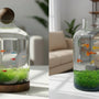 Drifting Bottle Ecological Aquatic Grass Tank