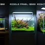 Side-by-side comparison of planted tank builds at $50, $500, and $5000 budgets, showcasing the evolution from a basic aquarium setup to a high-end professional aquascape.