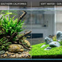 Conceptual split screen showing a hard water planted tank with ferns on the left and a soft water Iwagumi aquascape with an HC Cuba carpet on the right, representing Southern vs Northern California tap water.