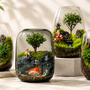 Best Glass Terrariums for Home Decor in 2026 (That Are Actually Worth It)