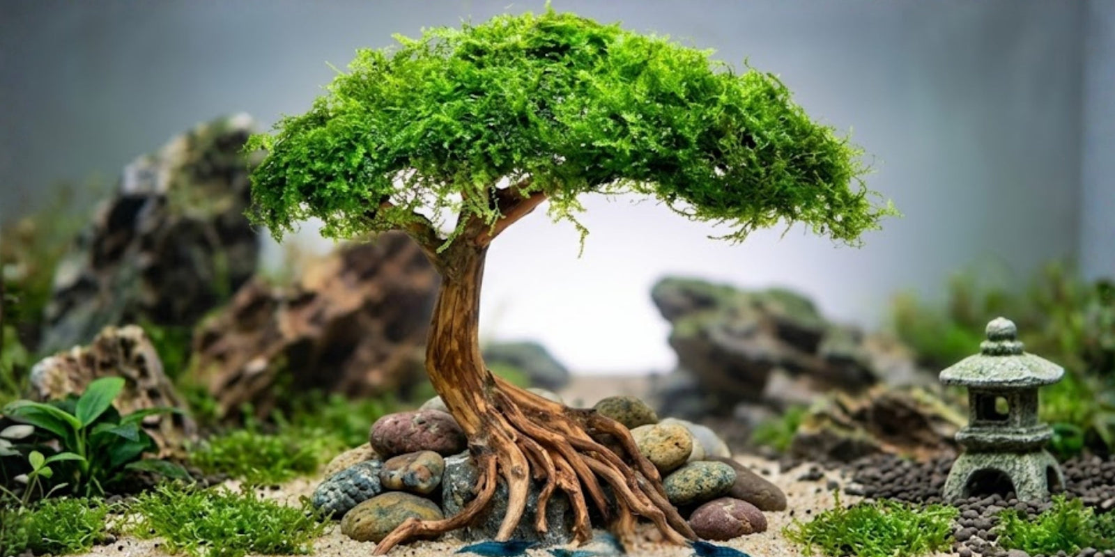 What Makes a Bonsai Look Realistic?