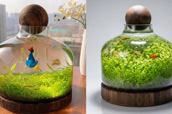 PlantedPro | Complete Eco-water Grass Tank