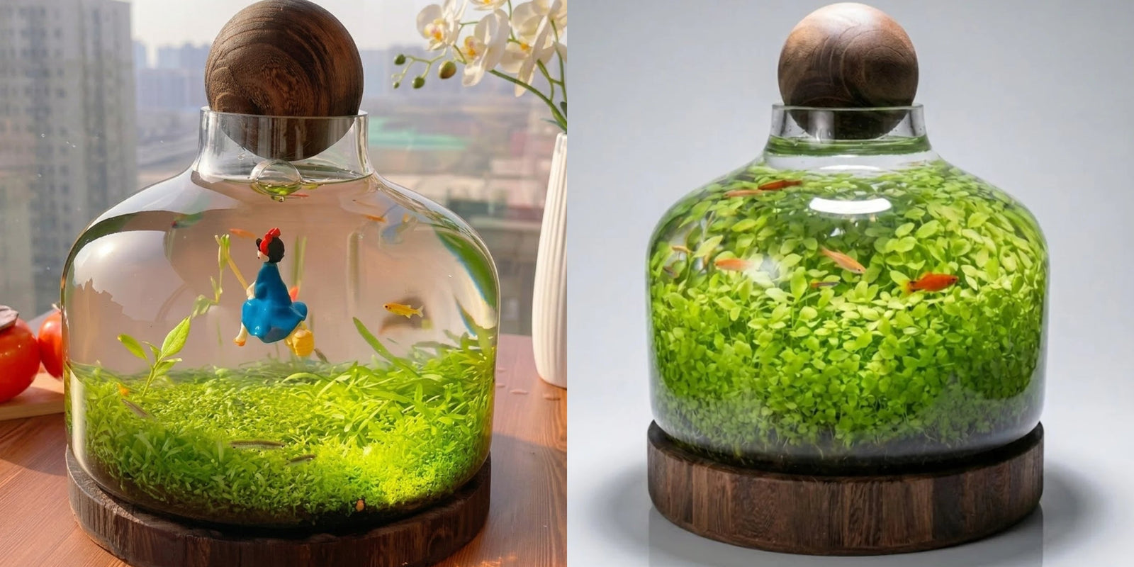 PlantedPro | Complete Eco-water Grass Tank