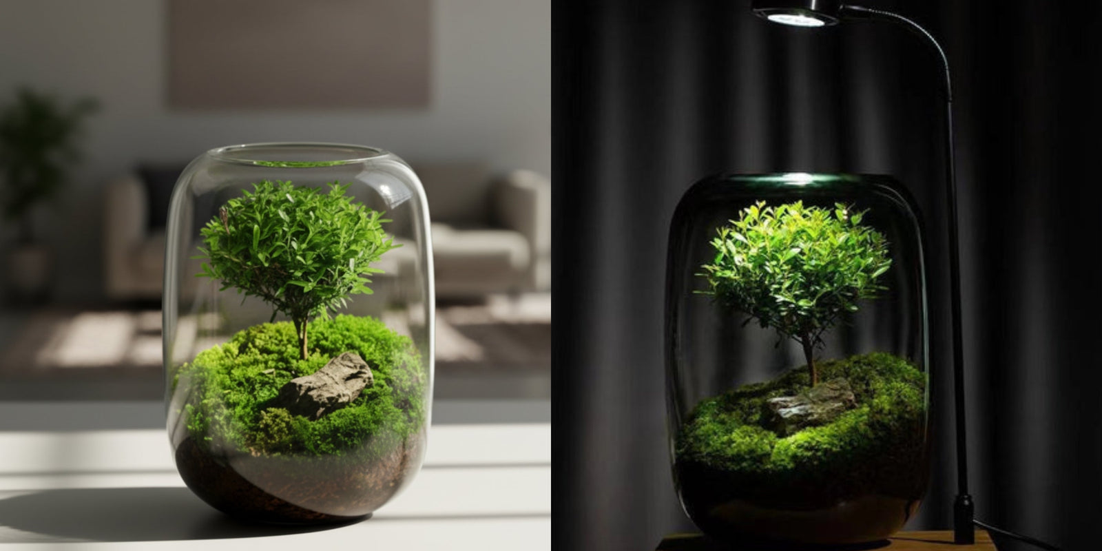 Tree of Life - Moss Microlandscape [Including Internal Plants + Decoration]