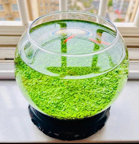 fish tank grass accessories Ecological Water Grass Tank Round Cylinder Set – PlantedPro