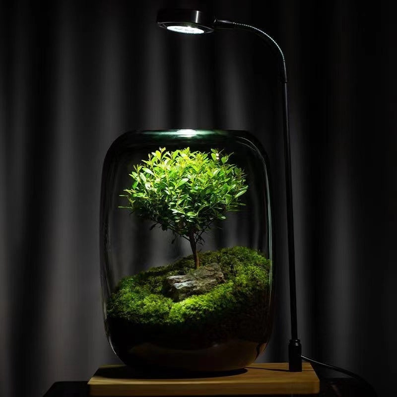 Tree of Life - Moss Microlandscape [Including Internal Plants + Decoration]