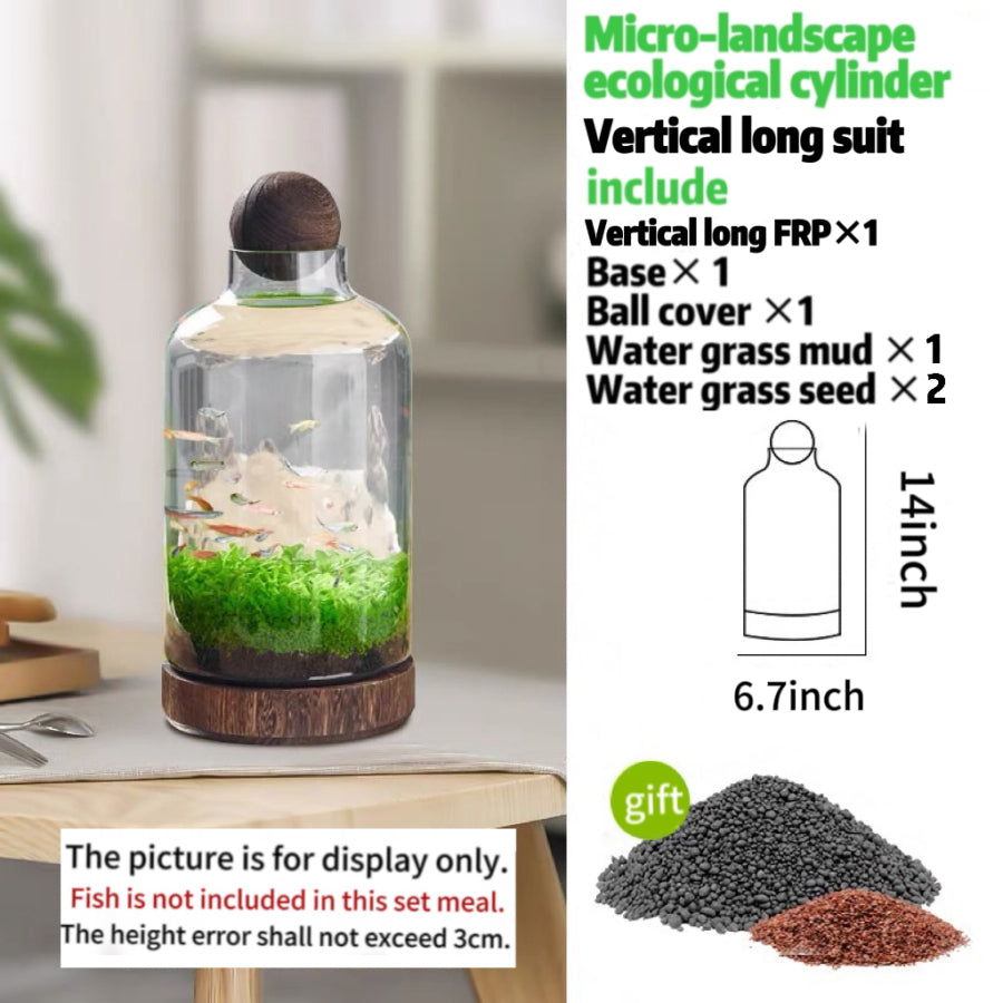 aqua terrarium planting tank Drifting Bottle Ecological Aquatic Grass Tank – PlantedPro