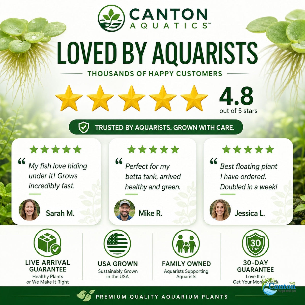 Azolla Filiculoides Water Velvet Floating Aquarium Plant Easy Care Mosquito Fern for Fish Tanks Ponds