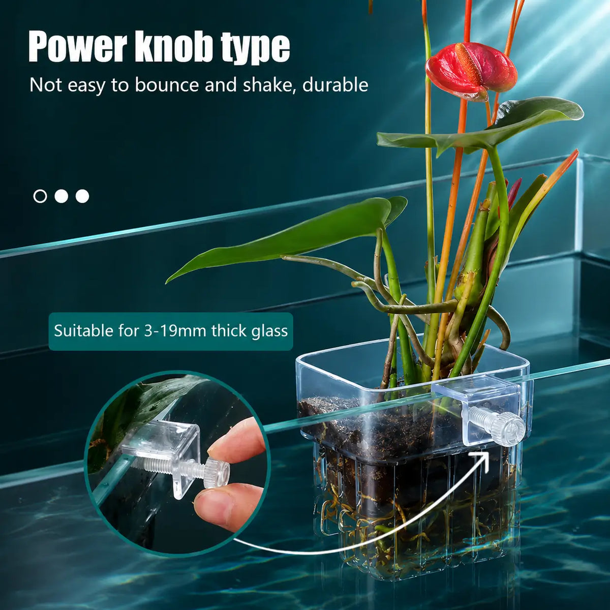 Aquarium Plant Holder with Hooks for Fish Tanks