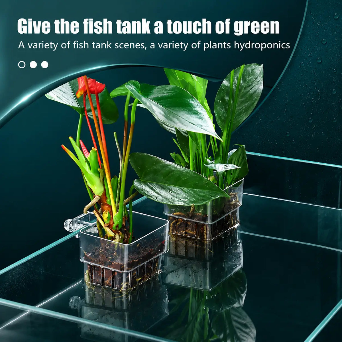 Aquarium Plant Holder with Hooks for Fish Tanks