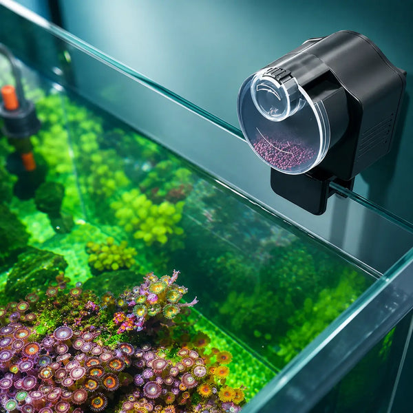 Automatic Fish Feeder for Aquarium with Timer & Adjustable Settings