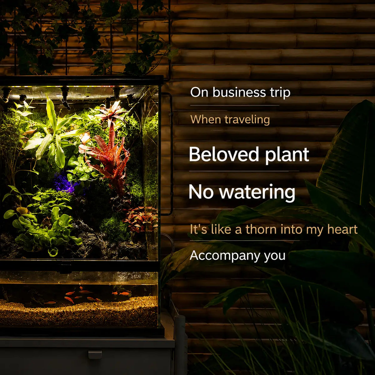 Automatic Misting System for Terrariums & Reptile Tanks with Timer