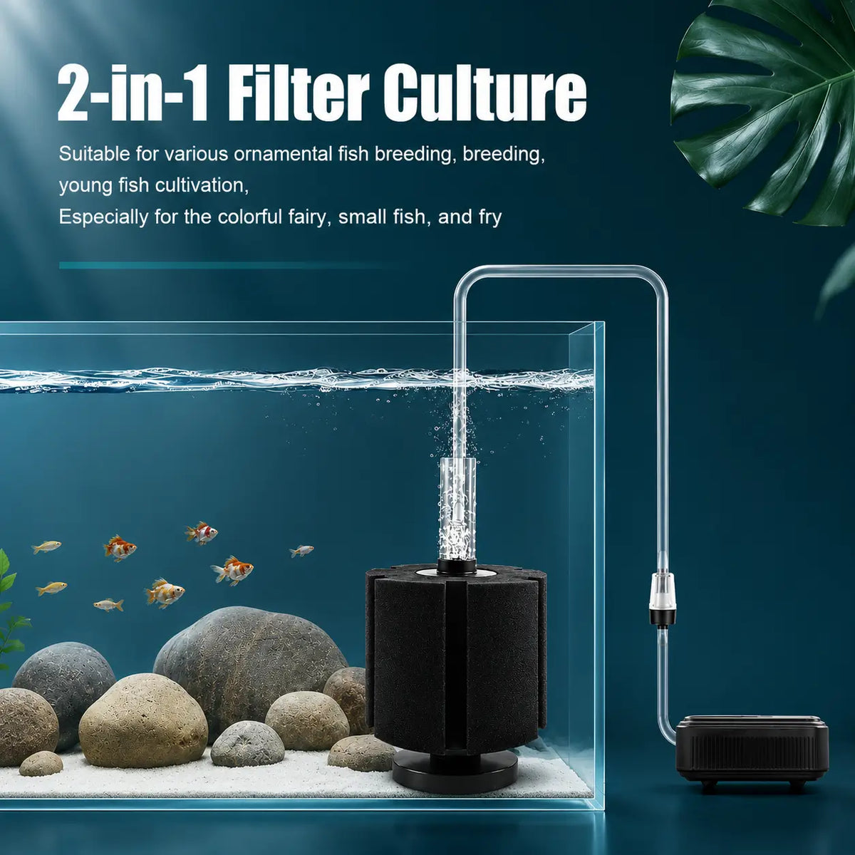 Biochemical Sponge Filter for Aquarium — Bio & Mechanical (FA011)