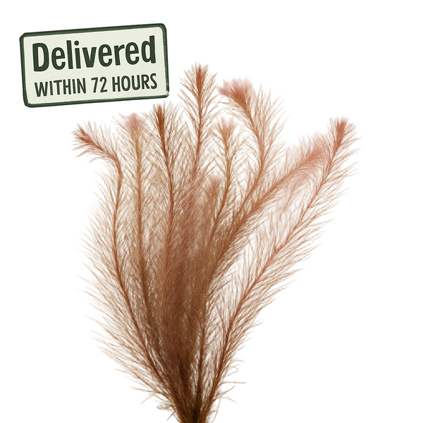 A bundle of Rotala Wallichii plants with pink and red hues against a white background, with a 'Delivered within 72 hours' label.