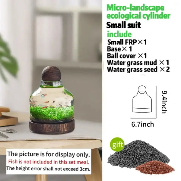 Eco-Water Grass Tank side angle showing full ecosystem setup with substrate and plants
