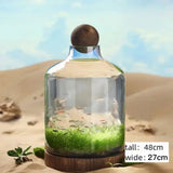 Close-up of Drifting Bottle Aquatic Grass Tank showing live aquatic grass and clear water inside bottle