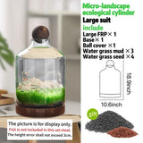 Drifting Bottle Aquatic Grass Tank detail view of root system and substrate inside the bottle