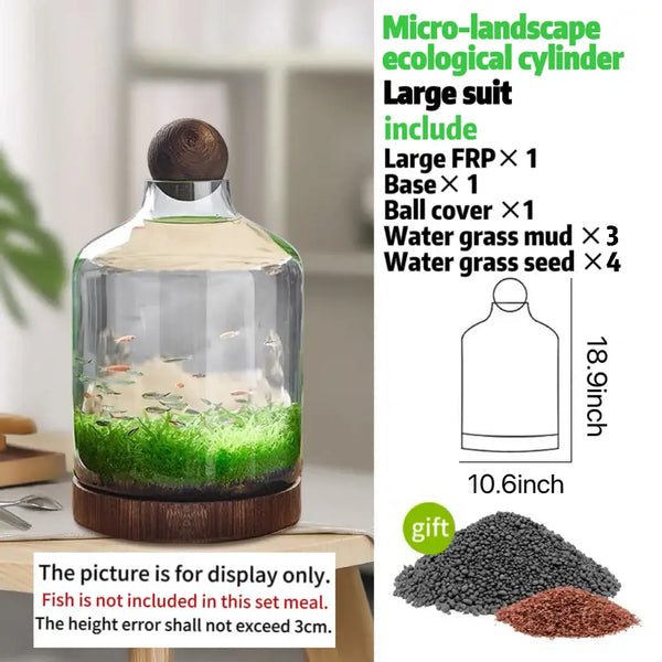 Drifting Bottle Aquatic Grass Tank detail view of root system and substrate inside the bottle