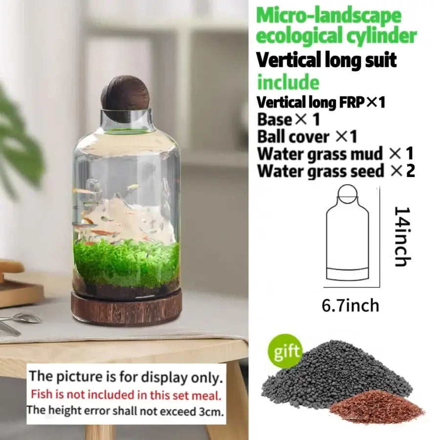 Drifting Bottle Ecological Aquatic Grass Tank displayed on a shelf as a unique desktop ecosystem