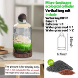 Drifting Bottle Ecological Aquatic Grass Tank displayed on a shelf as a unique desktop ecosystem