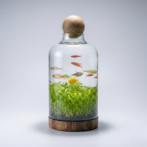 Drifting Bottle Ecological Aquatic Grass Tank