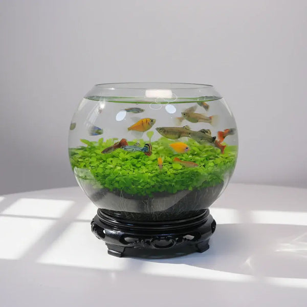 Ecological Water Grass Tank Round Cylinder Set