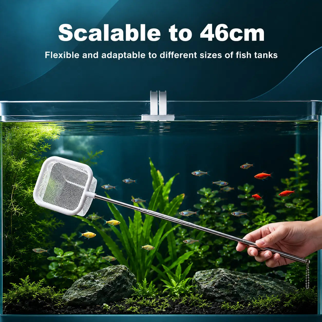 Extendable Square Aquarium Fish Net with Suction Cup