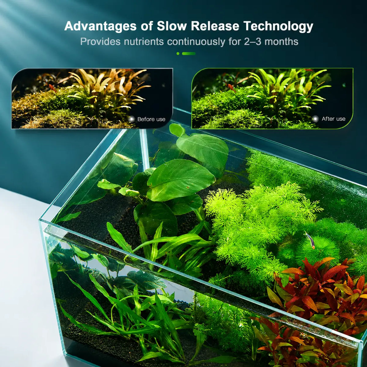 FZONE Aquarium Root Tabs — All-in-One Slow-Release Plant Fertilizer (56 Tabs)