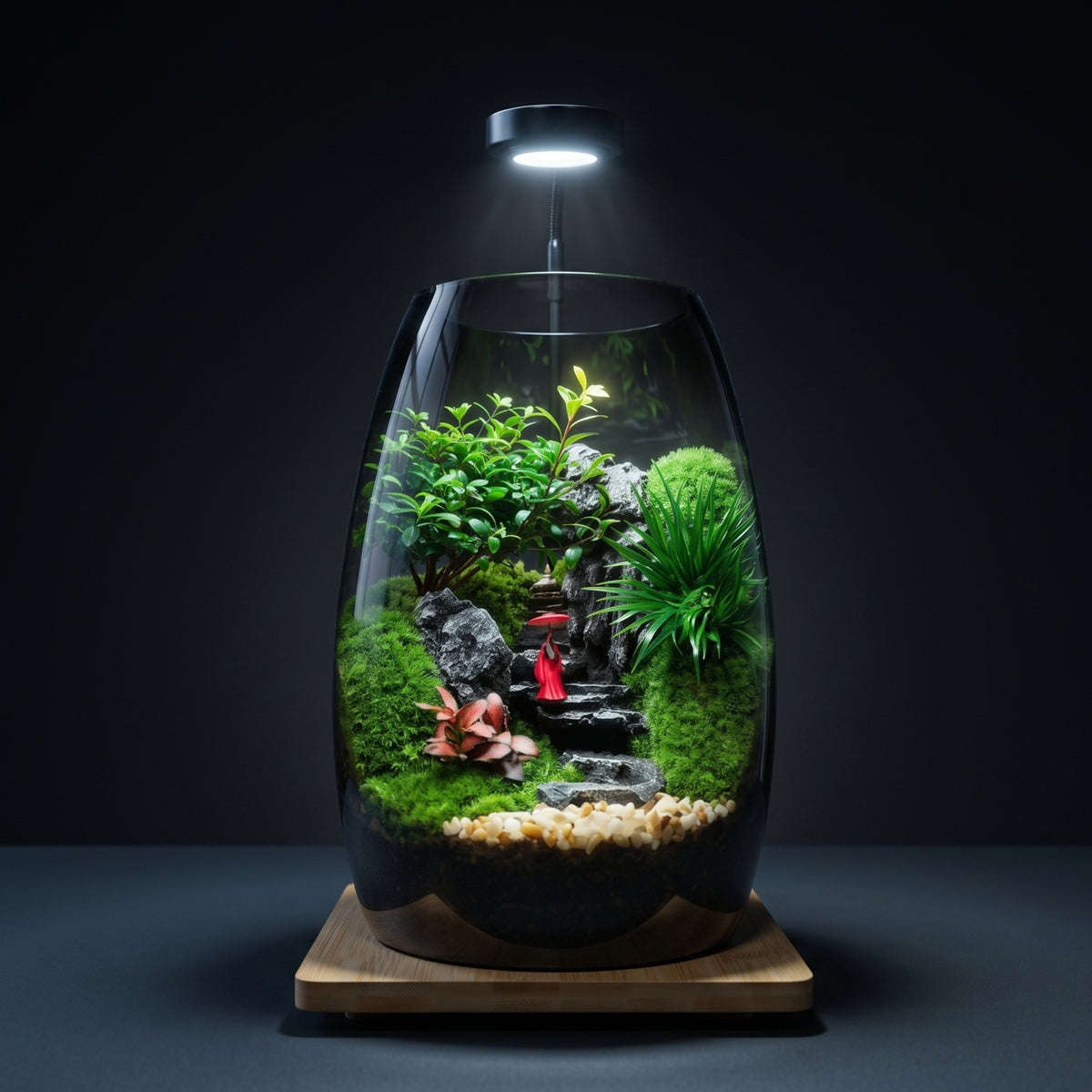 Forest Haven Moss Terrarium – Miniature Landscape  [Including Internal Plants + Decoration]
