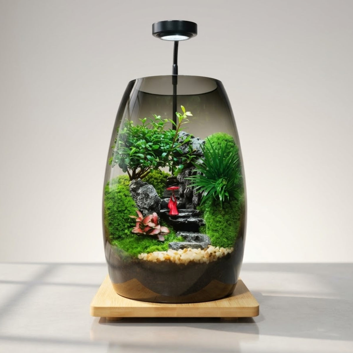 Forest Haven Moss Terrarium – Miniature Landscape  [Including Internal Plants + Decoration]