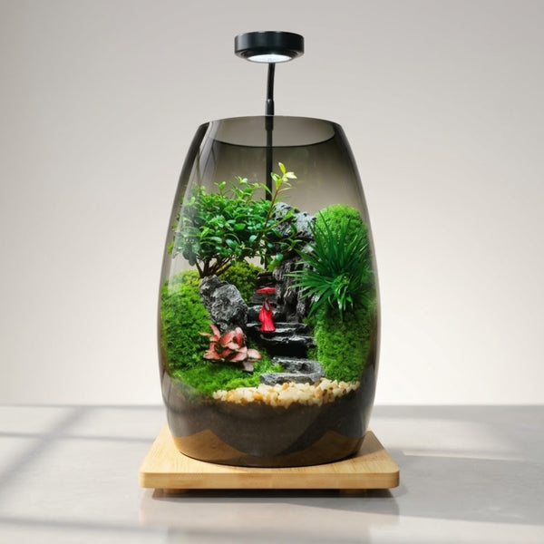 Forest Haven Moss Terrarium – Miniature Landscape  [Including Internal Plants + Decoration]