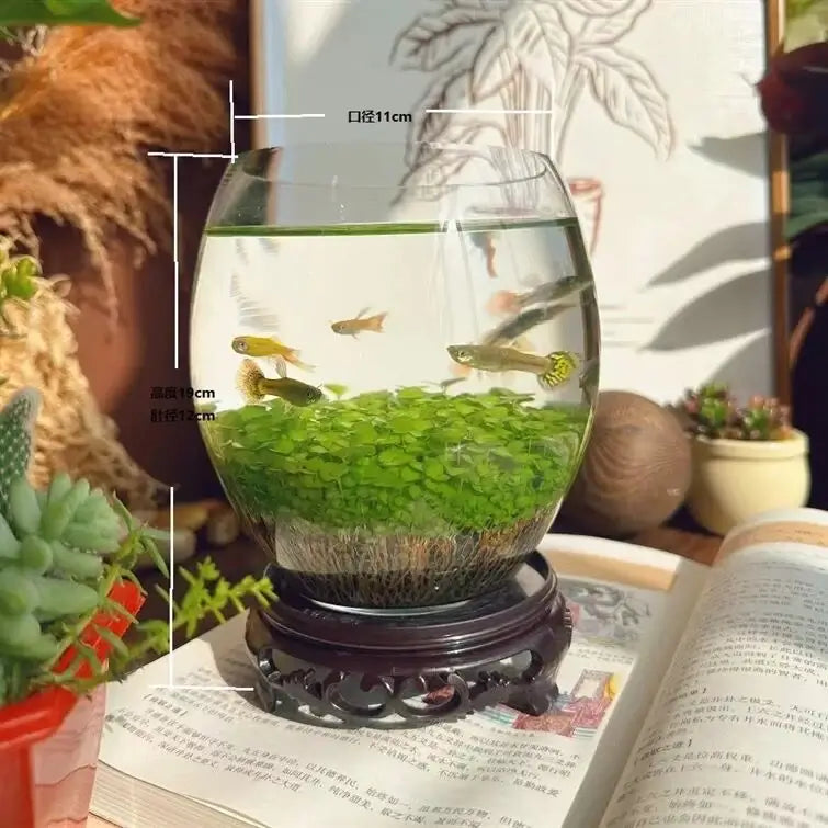 Goose Egg-Shaped Water Weed Tank side angle showing unique egg-shaped container design