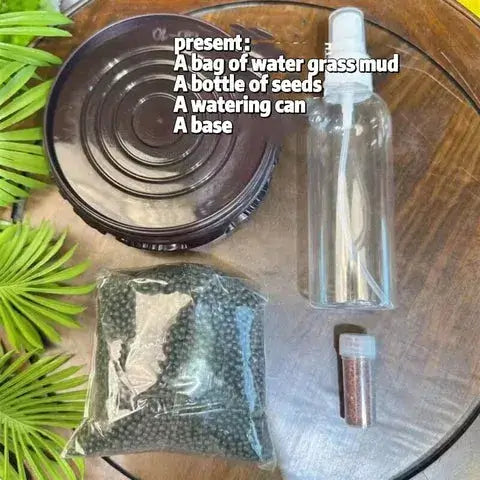 Goose Egg-Shaped Water Weed Tank displayed on a desk as a novelty desktop aquascape