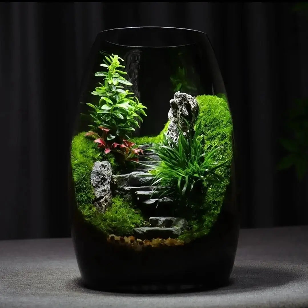 Green Hills Moss Microlandscape displayed on a tabletop as a calming desktop terrarium