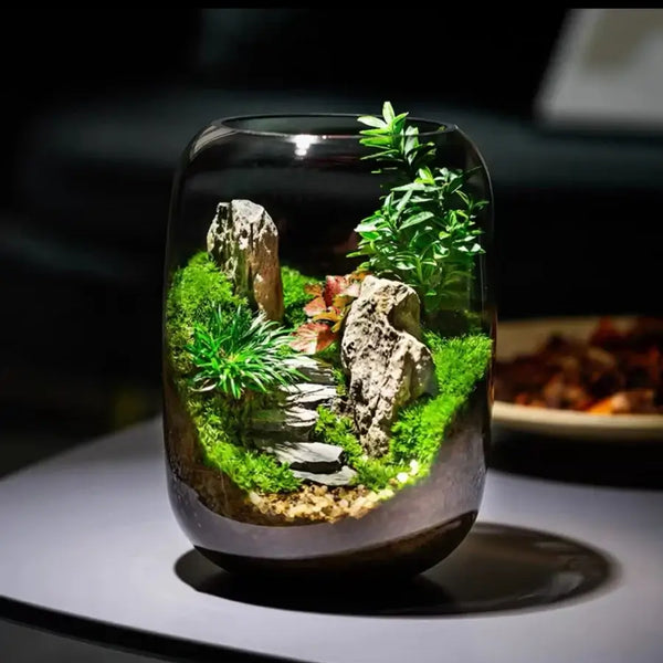 Green Mountain Microlandscape side angle showing glass terrarium container and internal plant arrangement
