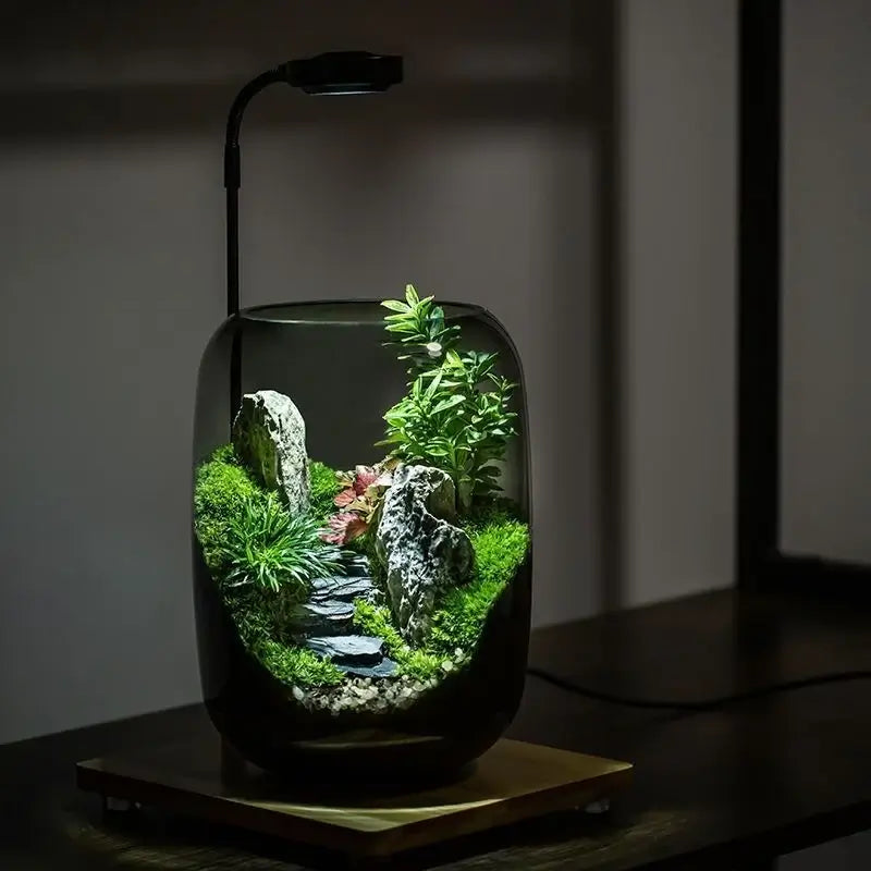 Green Mountain Microlandscape displayed on a desk as a self-contained moss terrarium centerpiece