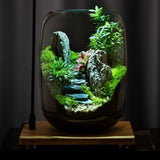 Green Mountain Microlandscape lit view showing ambient lighting effect on moss and decoration