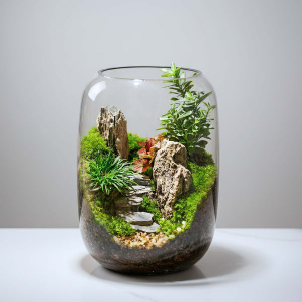 Green Mountain - Microlandscape [Including Internal Plants + Decoration]