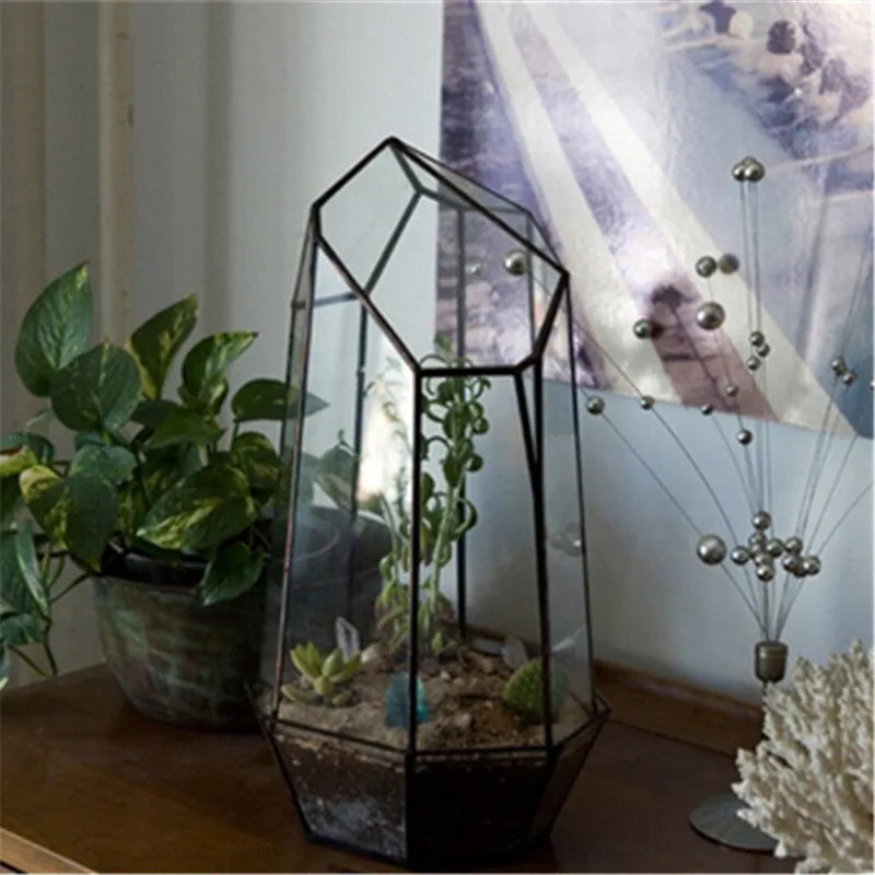 Irregular Geometric Glass Terrarium for Home Decor - PlantedPro