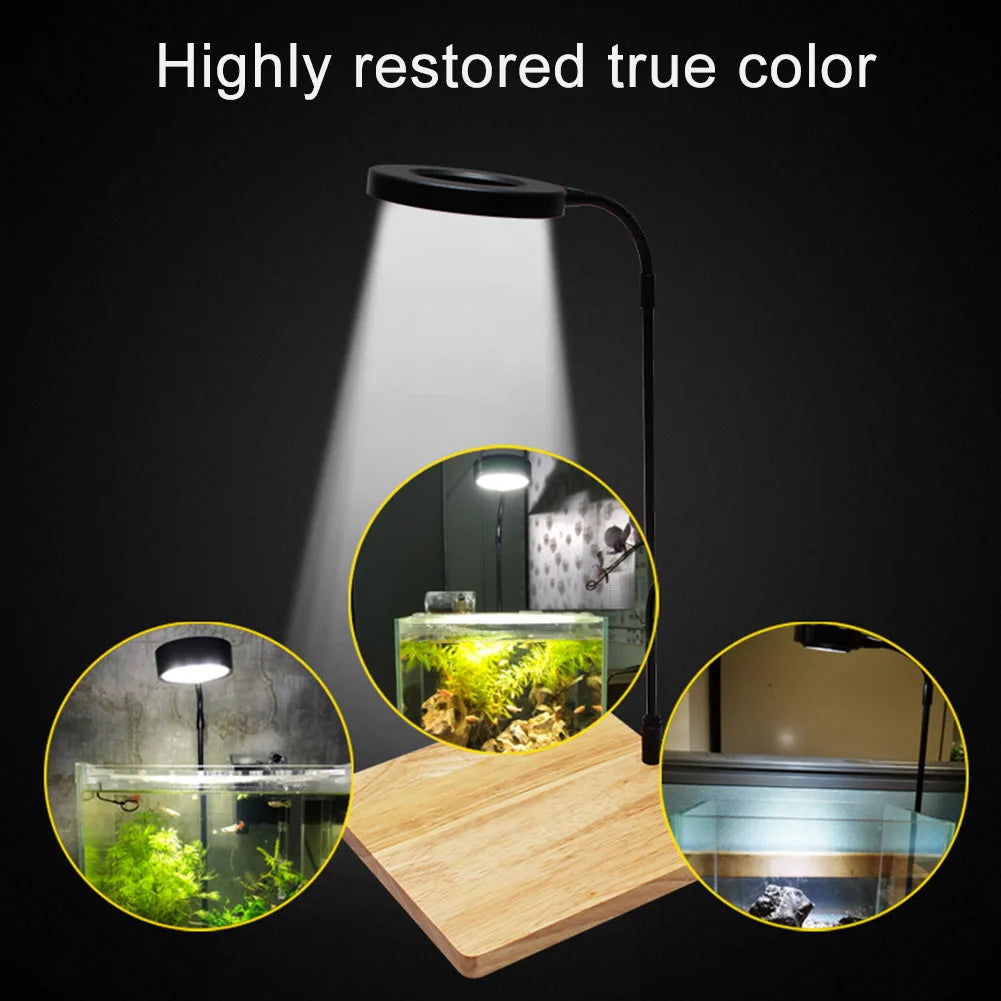 Miniature Landscape Adjustable LED Light - PlantedPro