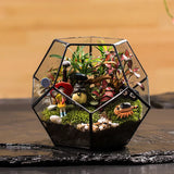 Geometric Glass Terrarium: Office Succulent Planter - PlantedPro