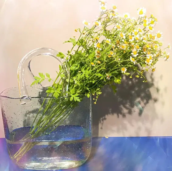 Handbag Fish Tank displayed on a table as a unique portable desktop aquarium