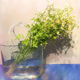 Handbag Fish Tank displayed on a table as a unique portable desktop aquarium
