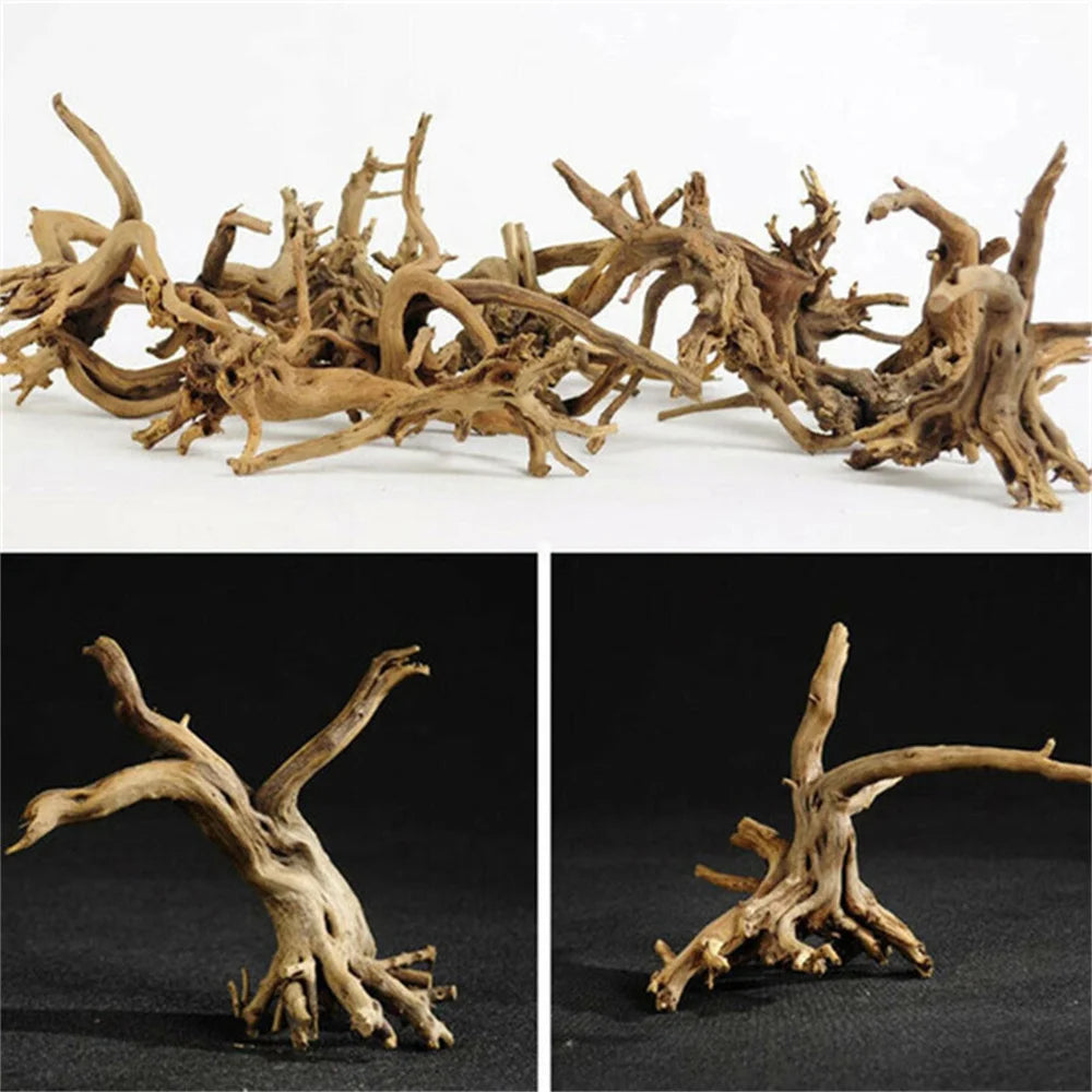 2PCS Natural Tree Trunk Driftwood: Unique Aquarium Ornaments - PlantedPro