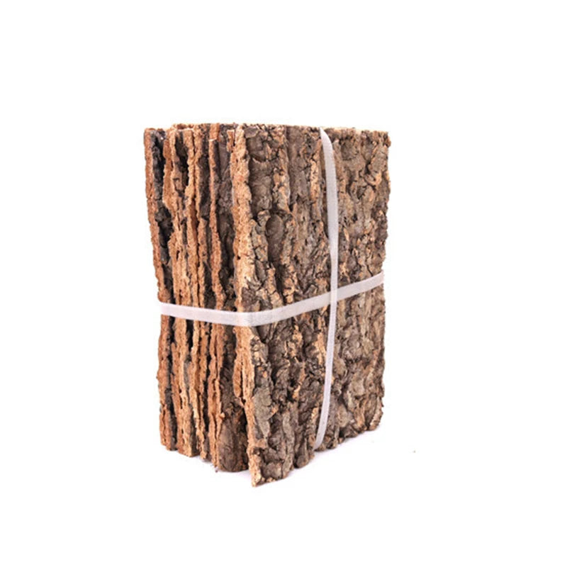 Champagne Tree Bark Driftwood: Versatile Aquarium and Reptile Decoration - PlantedPro