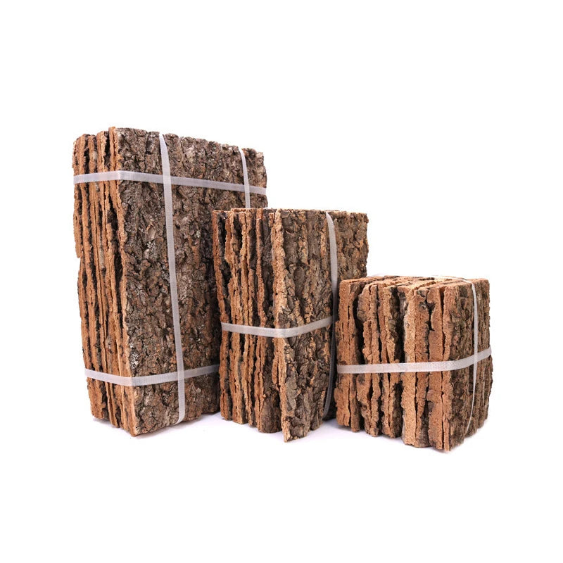 Champagne Tree Bark Driftwood: Versatile Aquarium and Reptile Decoration - PlantedPro